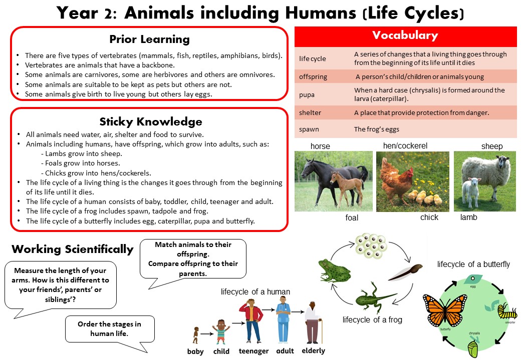 Science Knowledge Mats